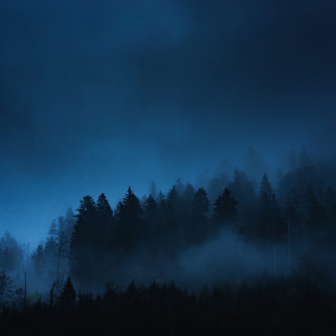 'Nebel, Allgäuer Alpen' von Alex Speer