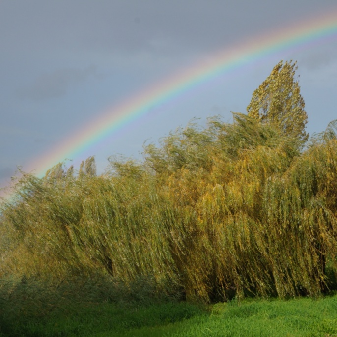 'Regenbogen' von Thomas Beisel
