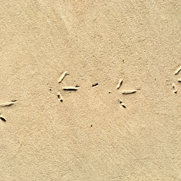 'Spuren im Sand' von Christiane Müller  (Ausstellung "Minimalismus" 2022)